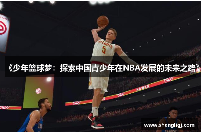 《少年篮球梦：探索中国青少年在NBA发展的未来之路》