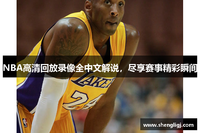 NBA高清回放录像全中文解说，尽享赛事精彩瞬间