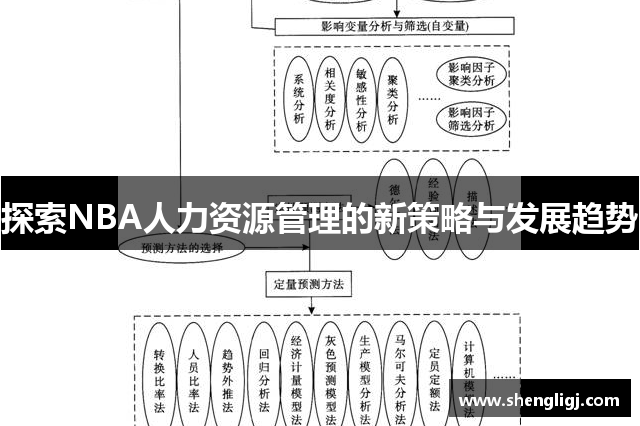 探索NBA人力资源管理的新策略与发展趋势