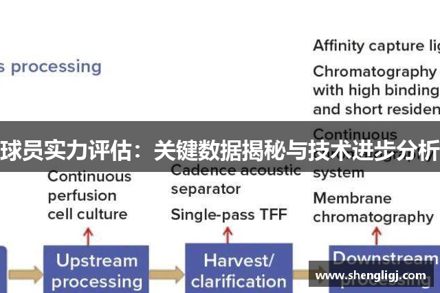 球员实力评估：关键数据揭秘与技术进步分析