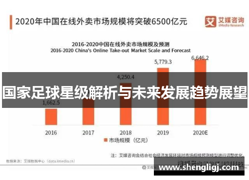 国家足球星级解析与未来发展趋势展望